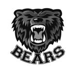 Client school logo